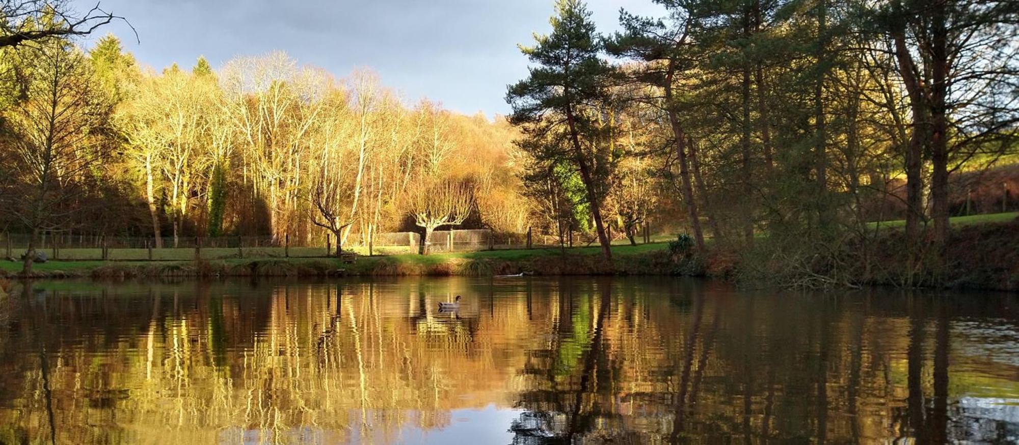 Le Petit Lac Bourganeuf Eksteriør billede